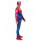 Spider-Man Costume Top & Mask for Adult