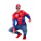Spider-Man Costume Top & Mask for Adult