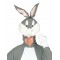 Bugs Bunny Kids Costume Looney Tunes