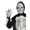 Skeleton Halloween Eva Adult Costume
