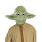 Yoda Adult Costume Star Wars