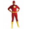 The Flash Men's Adult Costume
