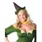 Scarecrow Wizard of Oz Adult Costume