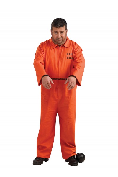 Prisoner Plus Sized Adult Costume Careers