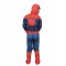 Spider-Man Premium Boy Child Costume