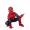 Spider-Man Premium Boy Child Costume