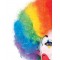 Adult Multi-Colour Circus Clown Wig