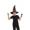 Harry Potter Sorting Hat With House Badges