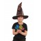 Harry Potter Sorting Hat With House Badges
