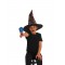 Harry Potter Sorting Hat With House Badges