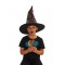 Harry Potter Sorting Hat With House Badges