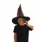 Harry Potter Sorting Hat With House Badges