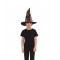Harry Potter Sorting Hat With House Badges