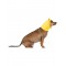 Winnie The Pooh Pet Accessory