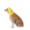 Winnie The Pooh Pet Accessory