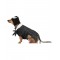 Jack Skellington Pet Costume