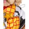 Woody Toy Story Dog Pet Costume