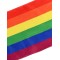 Rainbow Flag for Adult - Accessory