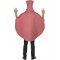 Whoopie Cushion Adult Costume