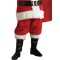 Santa Christmas Claus Suit Regency Plush Adult Costume