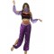Arabian Princess Costume