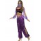 Arabian Princess Costume