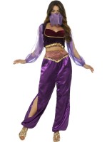 Arabian Princess Costume
