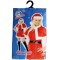 Miss Santa Deluxe Adult Costume