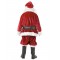 Santa Claus Adult Costume