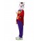 White Rabbit Alice In Wonderland Child Costume