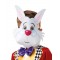 White Rabbit Alice In Wonderland Child Costume