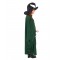 Professor McGonagall Adult Robe Harry Potter