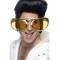 Giant 70's Rock Specs for Adult