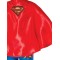 Supergirl Adult Cape - Accessory