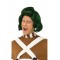 Oompa Loompa Charlie & The Chocolate Factory Adult Wig - Accessory