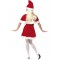Miss Santa Adult Costume