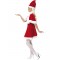 Miss Santa Adult Costume