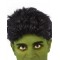 Hulk Adult Wig