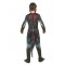 Therizinosaurus Classic Costume Jurassic World