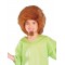 Shaggy Scooby Doo Deluxe Child Costume