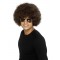 70s Funky Afro Wig, Adult - Brown