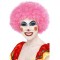 Crazy Clown Wig for Adult