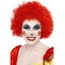 Crazy Clown Wig for Adult