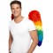 Rainbow Feather Adult Wings