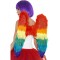 Rainbow Feather Adult Wings