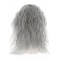Banshee Wig for Adult