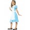 Wonderland Princess Child Costume