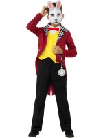 Mr White Rabbit Child Costume