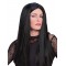 Morticia Adult Wig Addams Family - Accessory