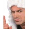 Judge Adult White Wig